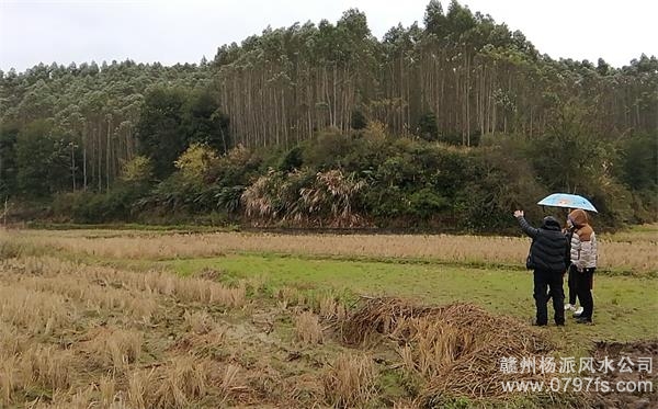 宜宾市陈老师带着爱徒寻龙点穴